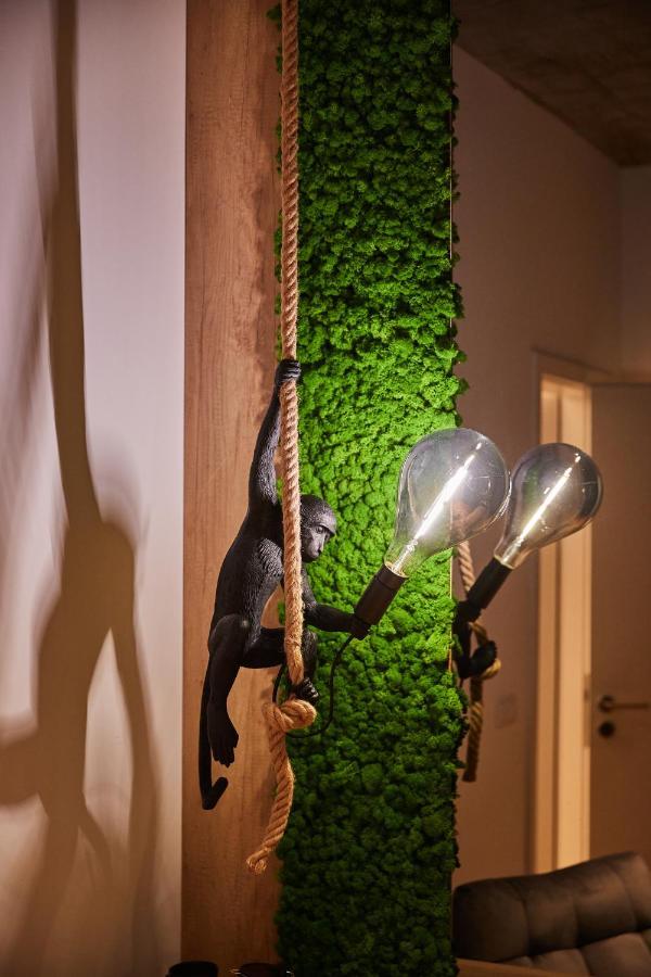 Quiboo Cosmopolit Appartement Braşov Buitenkant foto